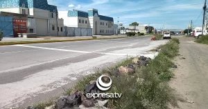 BOULEVARD SALVA