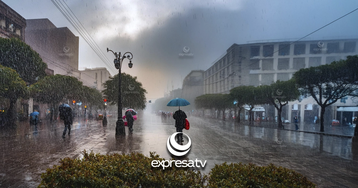 LLUVIA 19S