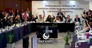 SENADO COMISIONES