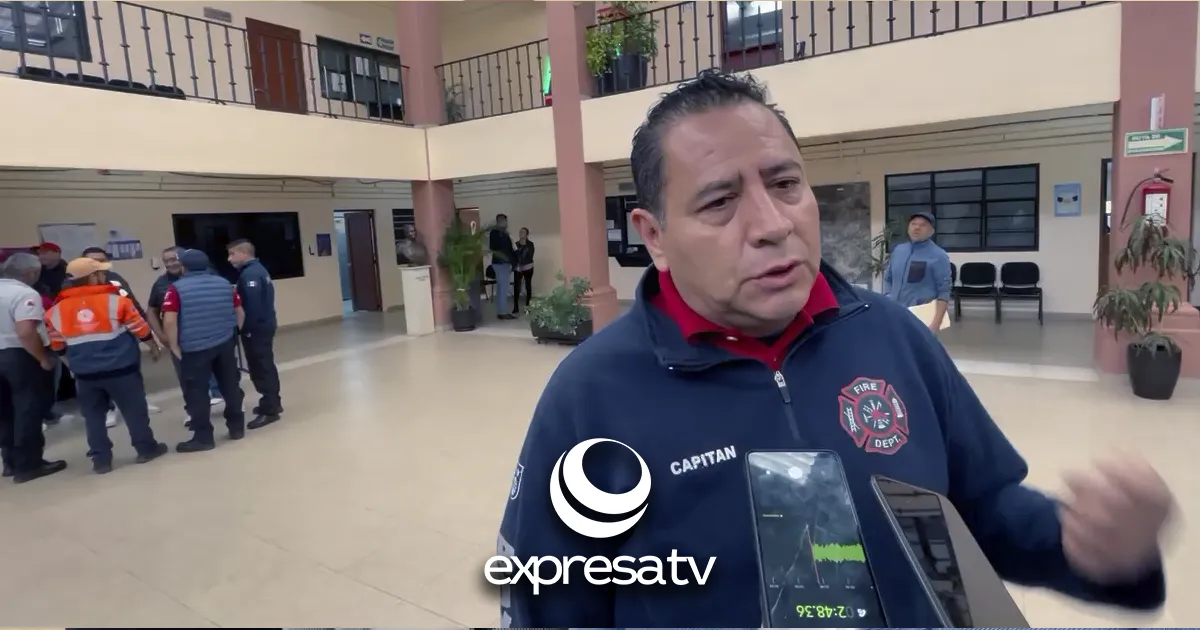 DESPIDOS