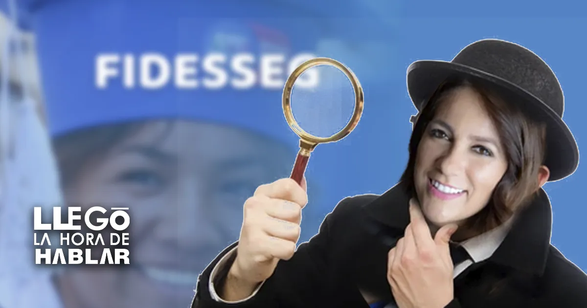 FIDESSEG