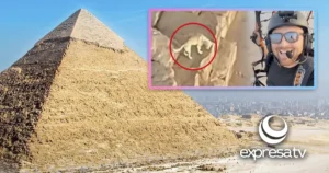 PERRITO