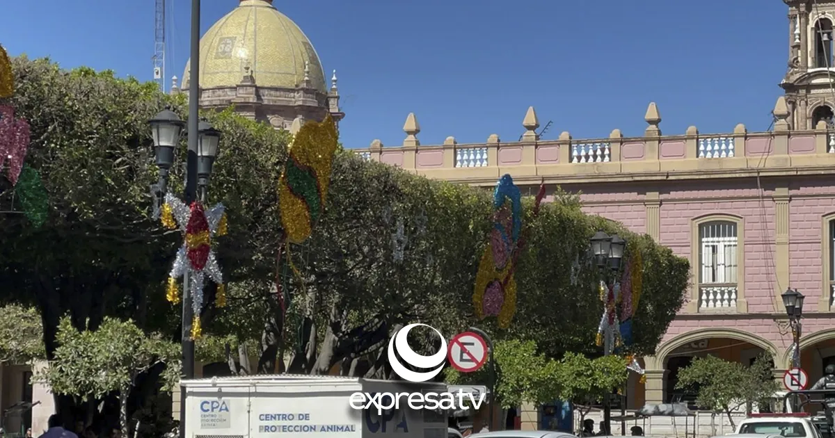 ADORNOS CELAYA