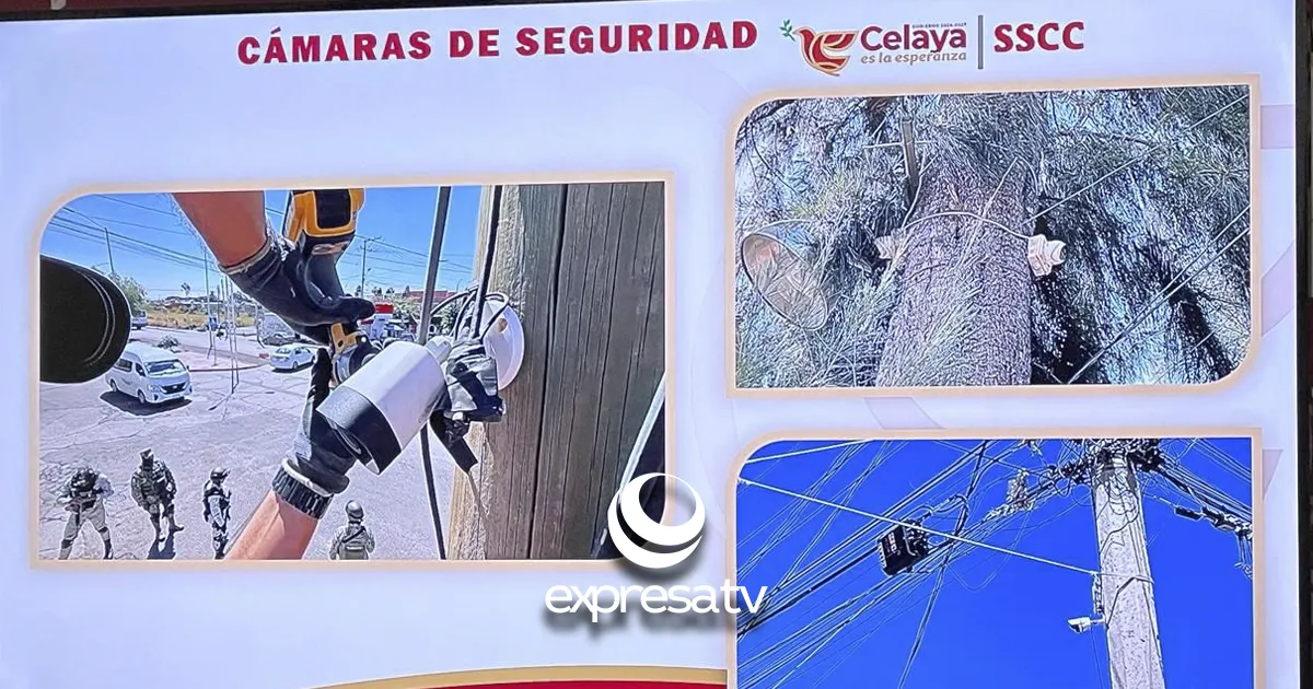 CÁMARAS