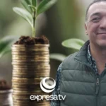 IMPUESTOS VERDES