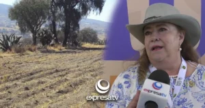 SEQUÍA CAMPO