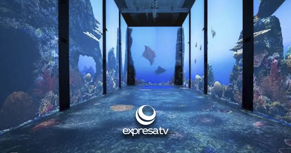 ACUARIO