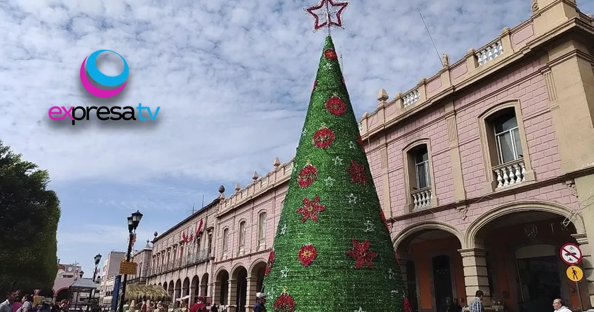 ÁRBOL