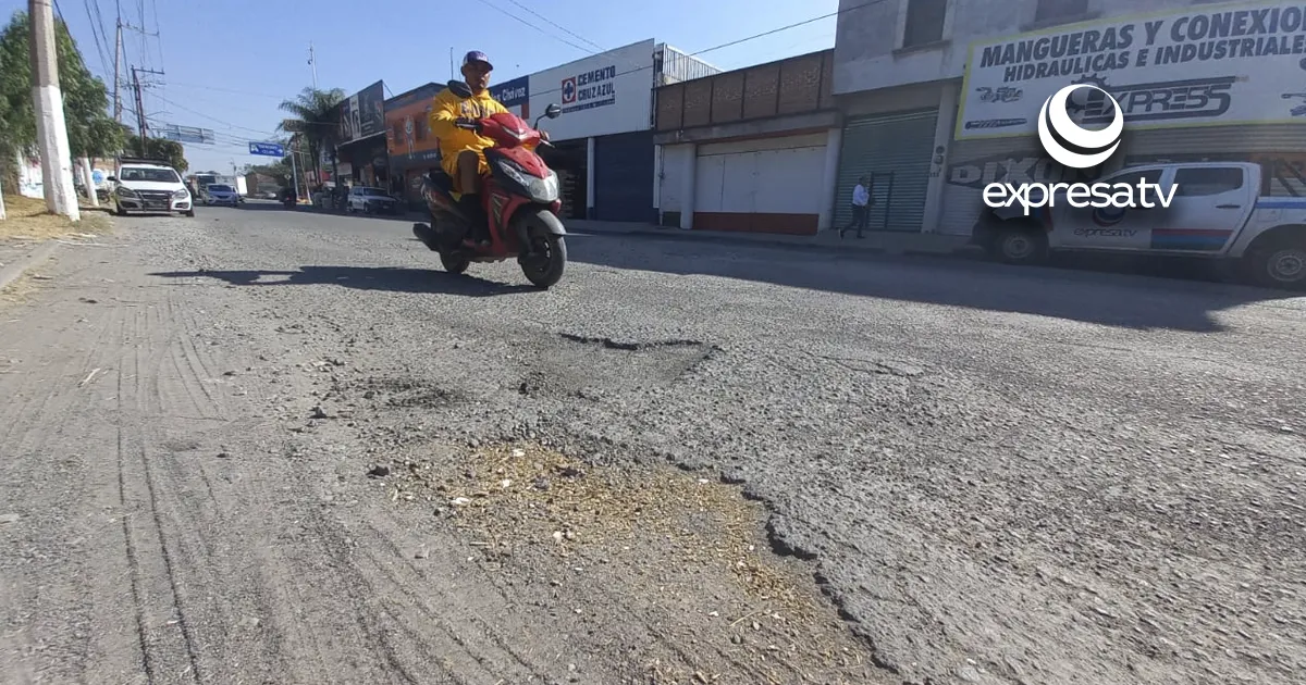BACHE