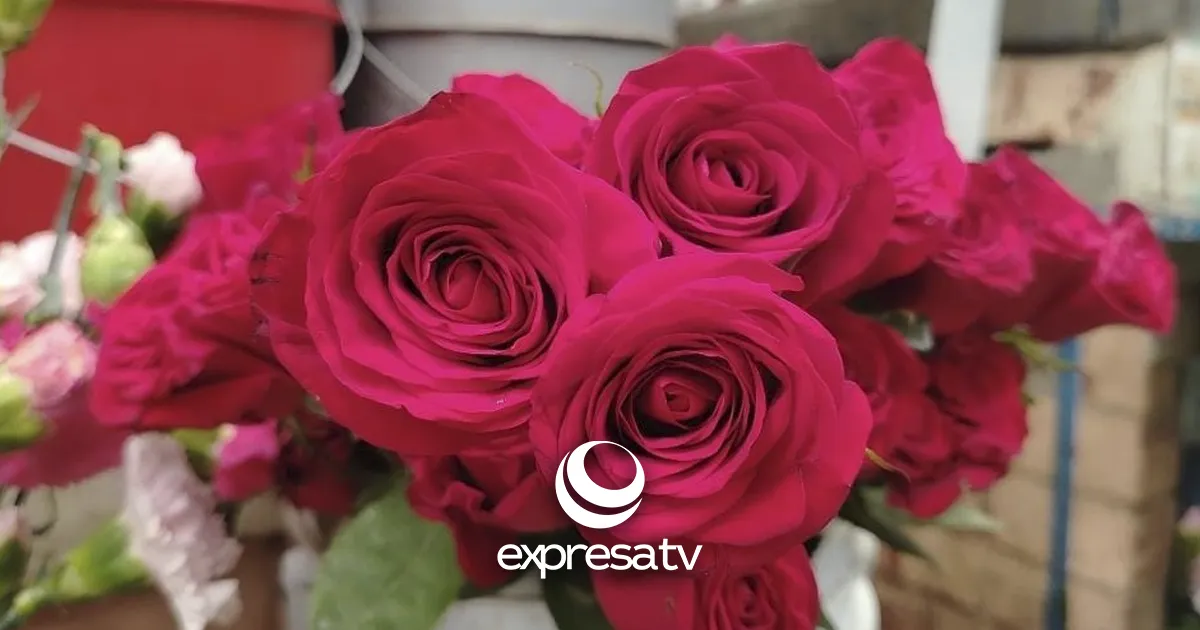 FLORES