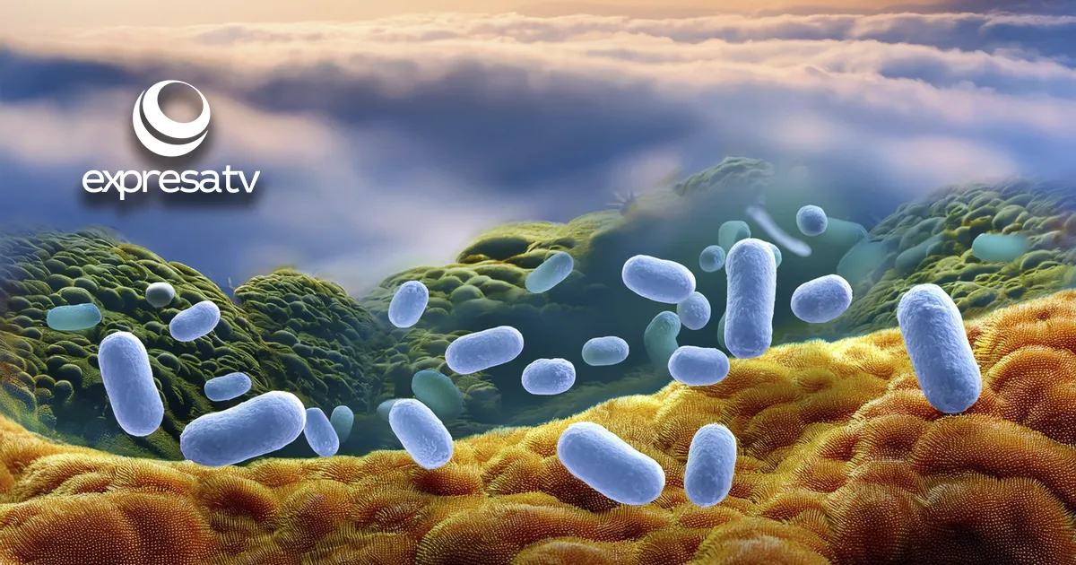 Klebsiella oxytoca