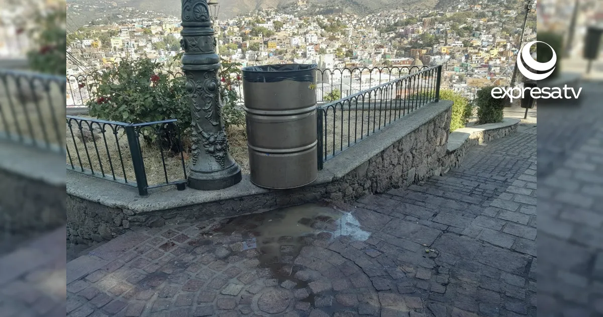 PÍPILA