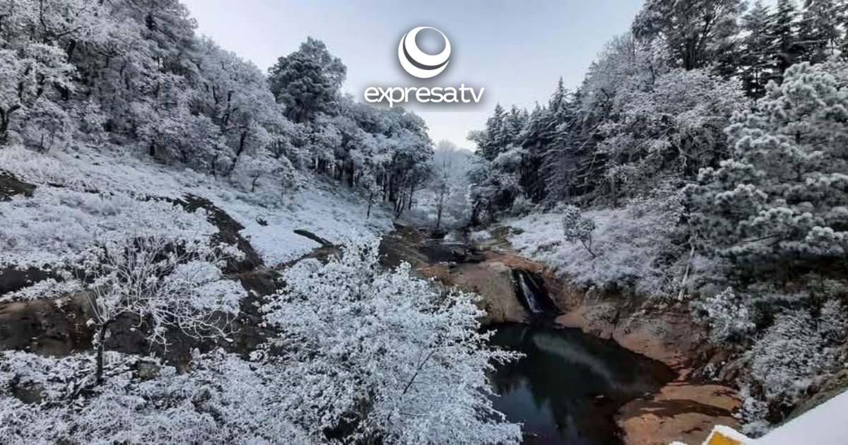 Amanece Guanajuato Con Bajas Temperaturas Y Caída De Nieve
