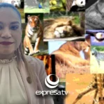 ANIMALES