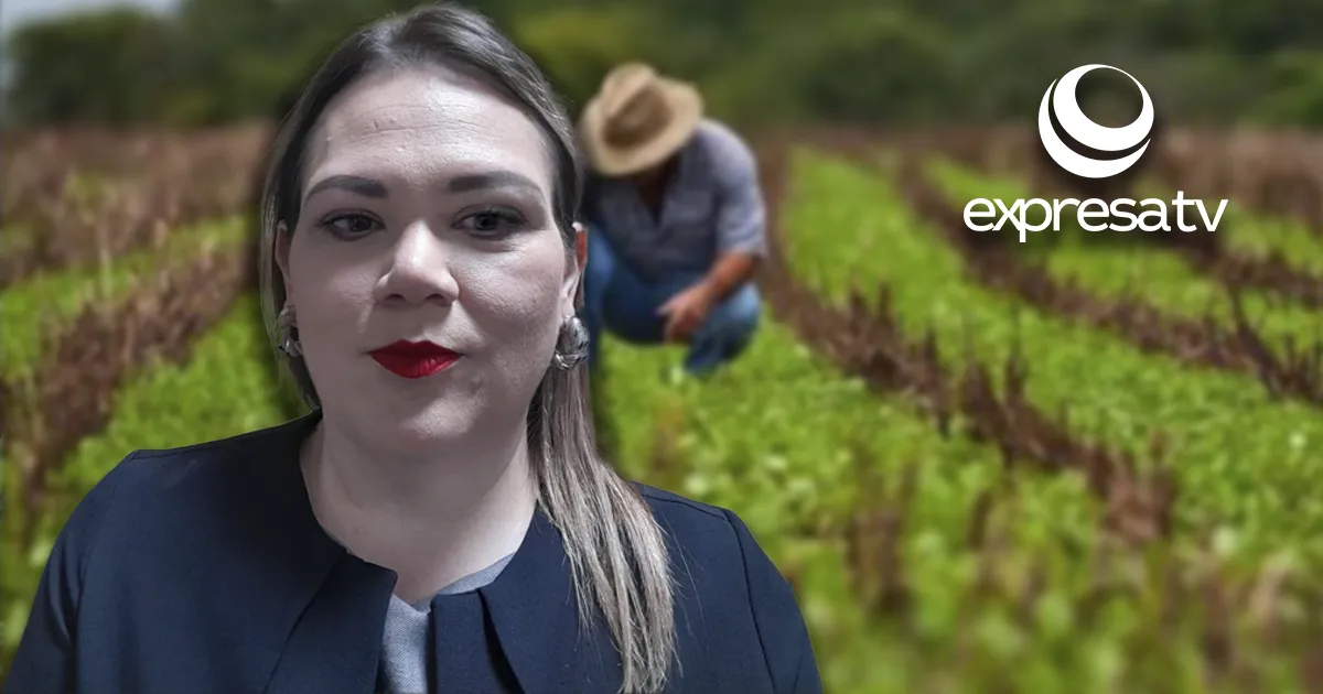 AGROPECUARIO