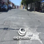 BACHE SALVATIERRA