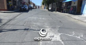 BACHE SALVATIERRA
