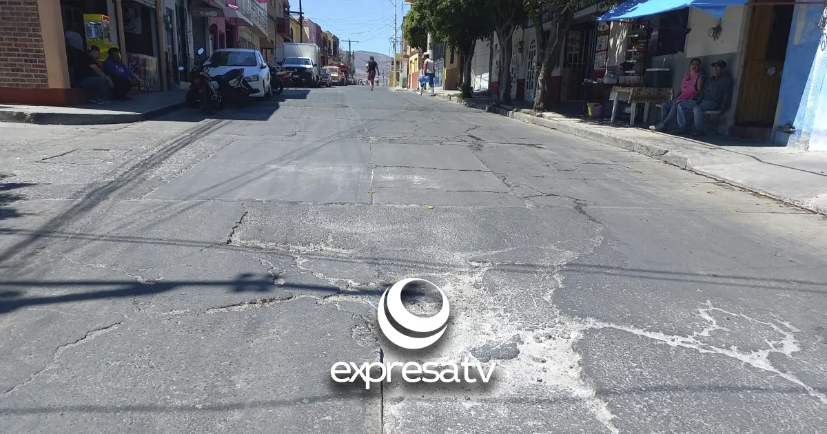 BACHE SALVATIERRA