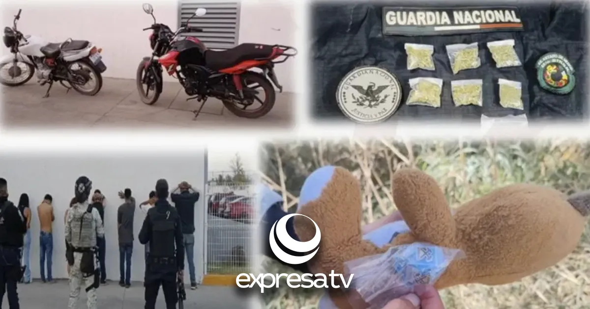 DROGAS PELUCHES