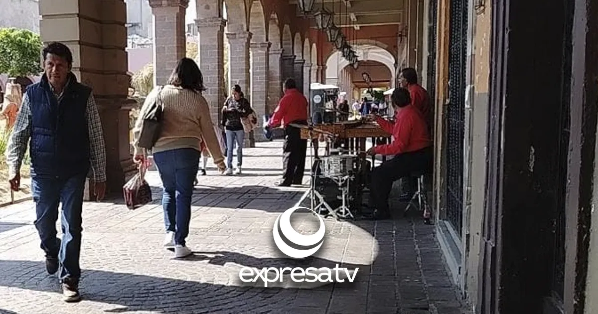 MÚSICOS JARDÍN