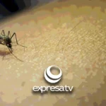 PREVENCIÓN DENGUE