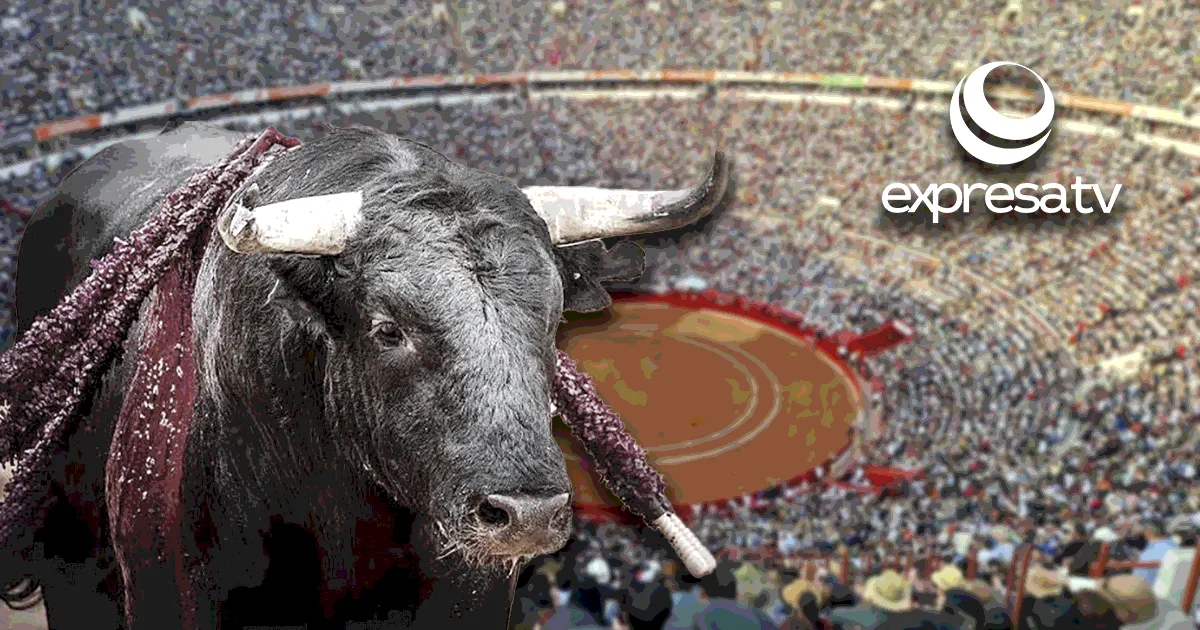TOROS VIOLENCIA