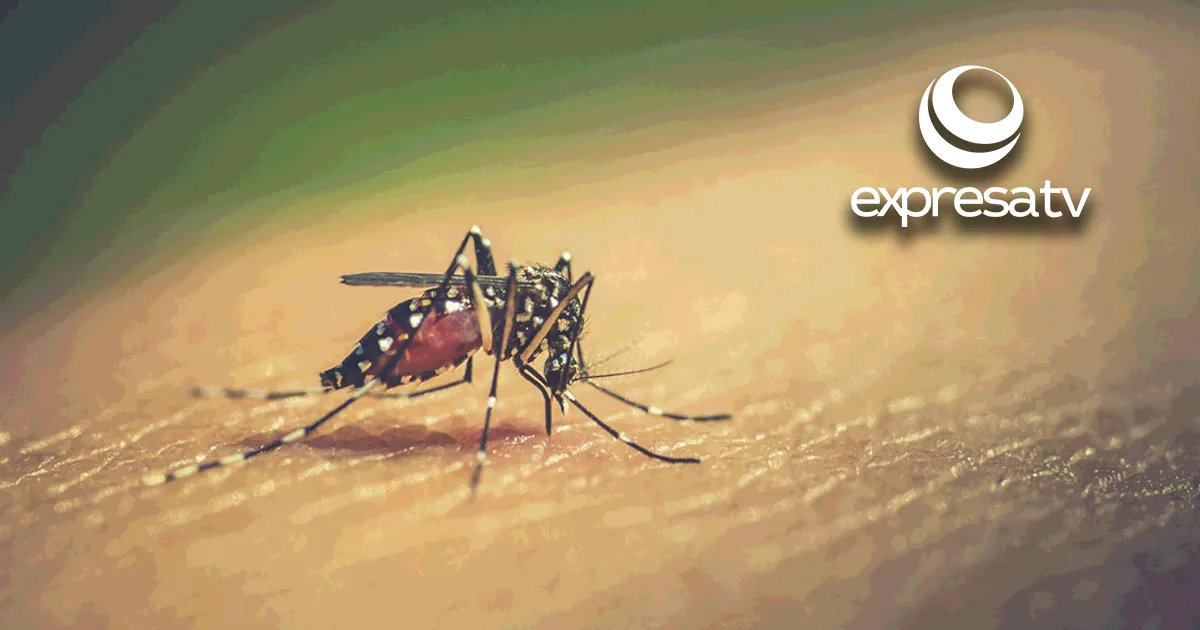 DENGUE