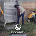 DENGUE