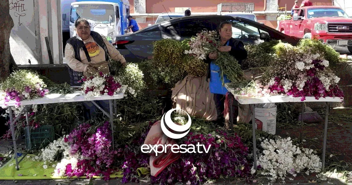 DÍA FLORES