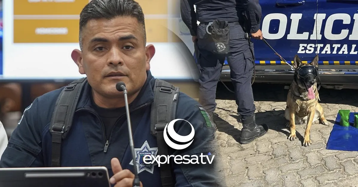 K9 CELAYA