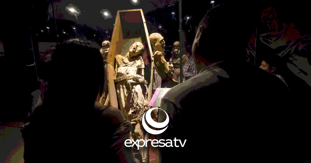 MUSEO MOMIAS