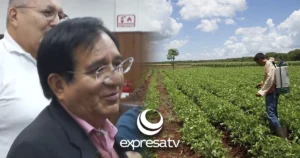 CAMPO CELAYA