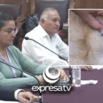 DENUNCIA ANIMALES