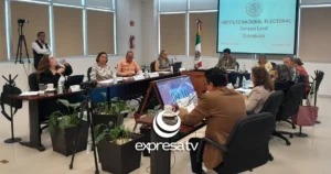 INE ANULACIÓN
