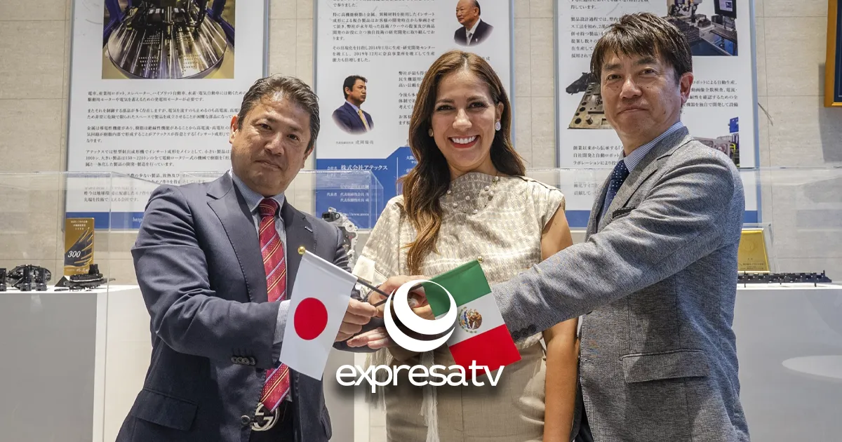 JAPON GUANAJUATO