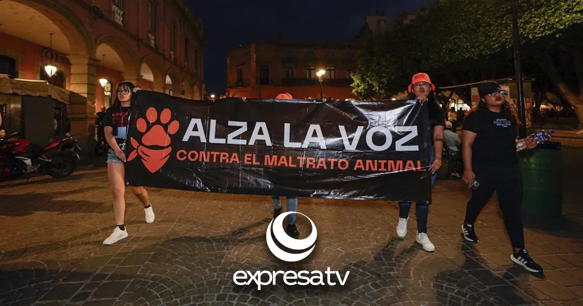 MARCHA ANIMALES