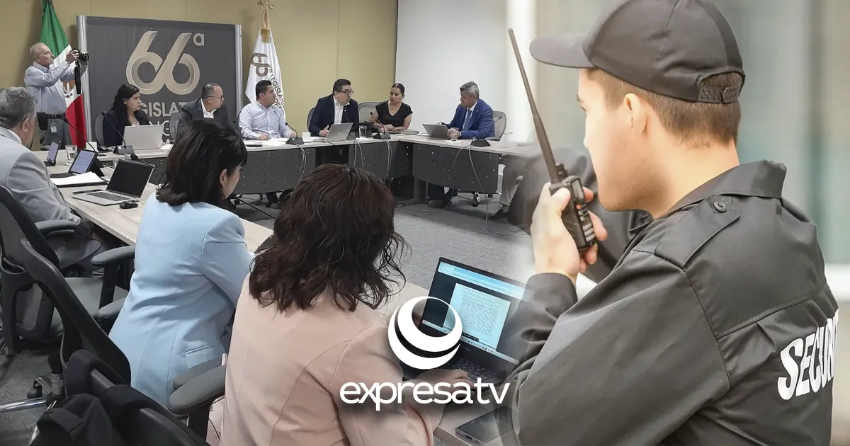 SEGURIDAD PRIVADA