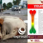 VIOLENTÍOMETRO