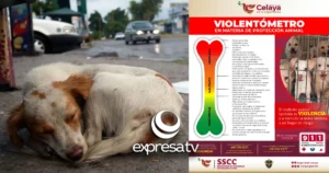 VIOLENTÍOMETRO