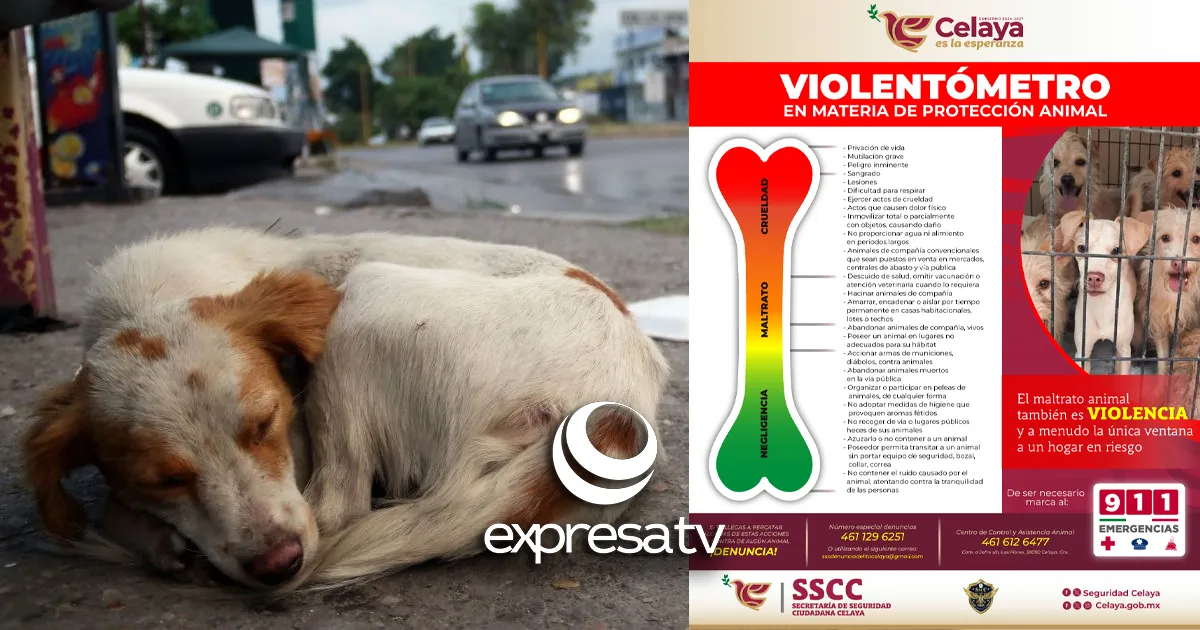 VIOLENTÍOMETRO