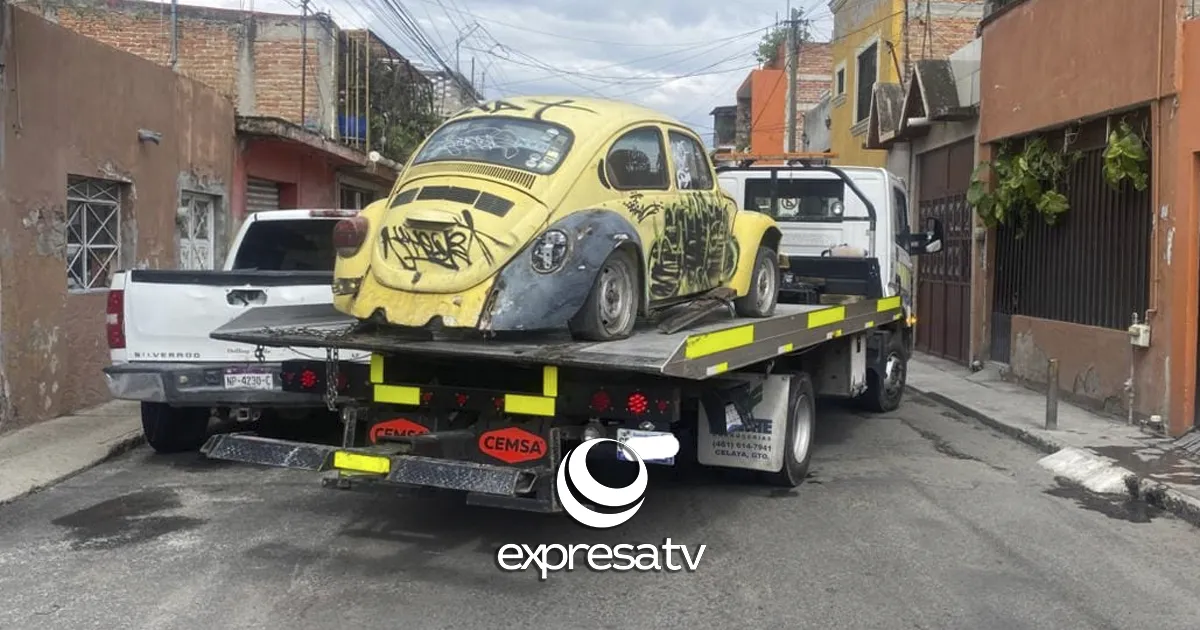 ABANDONADOS