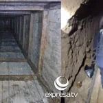 NARCOTÚNEL
