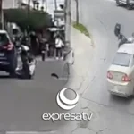 TRÁNSITO ATROPELLADOS