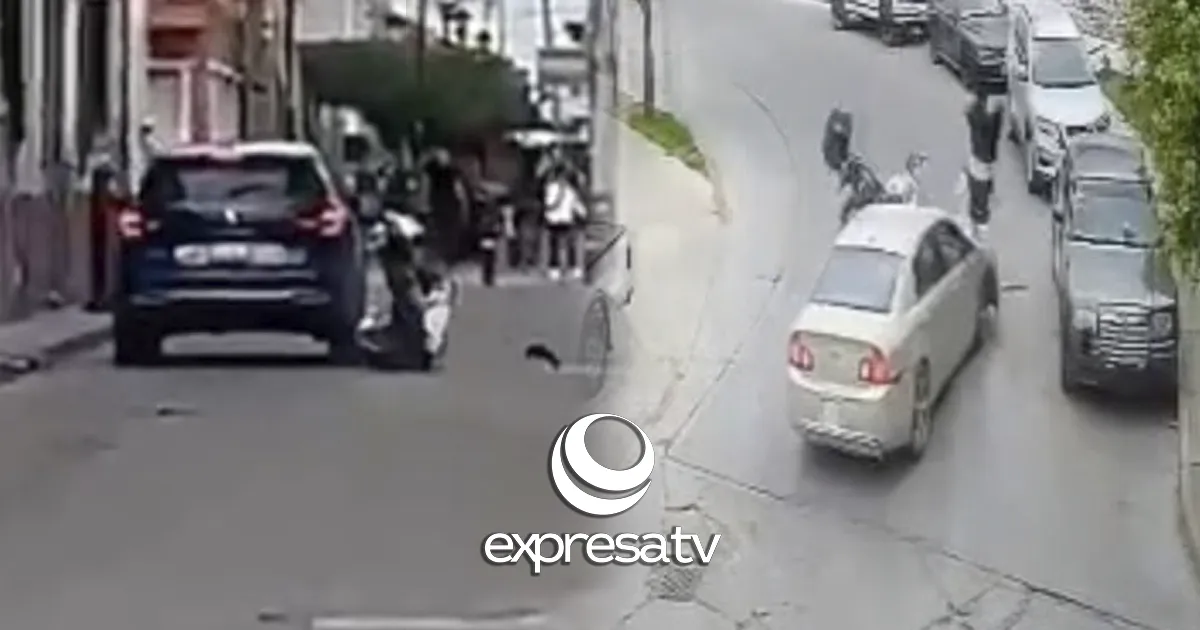 TRÁNSITO ATROPELLADOS