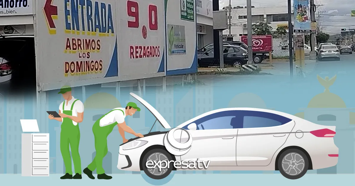 VERIFICACIÓN