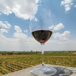 VINO