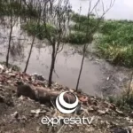 LLUVIAS