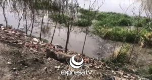 LLUVIAS