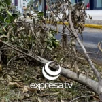 MEDIO AMBIENTE