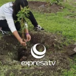 REFORESTACIÓN